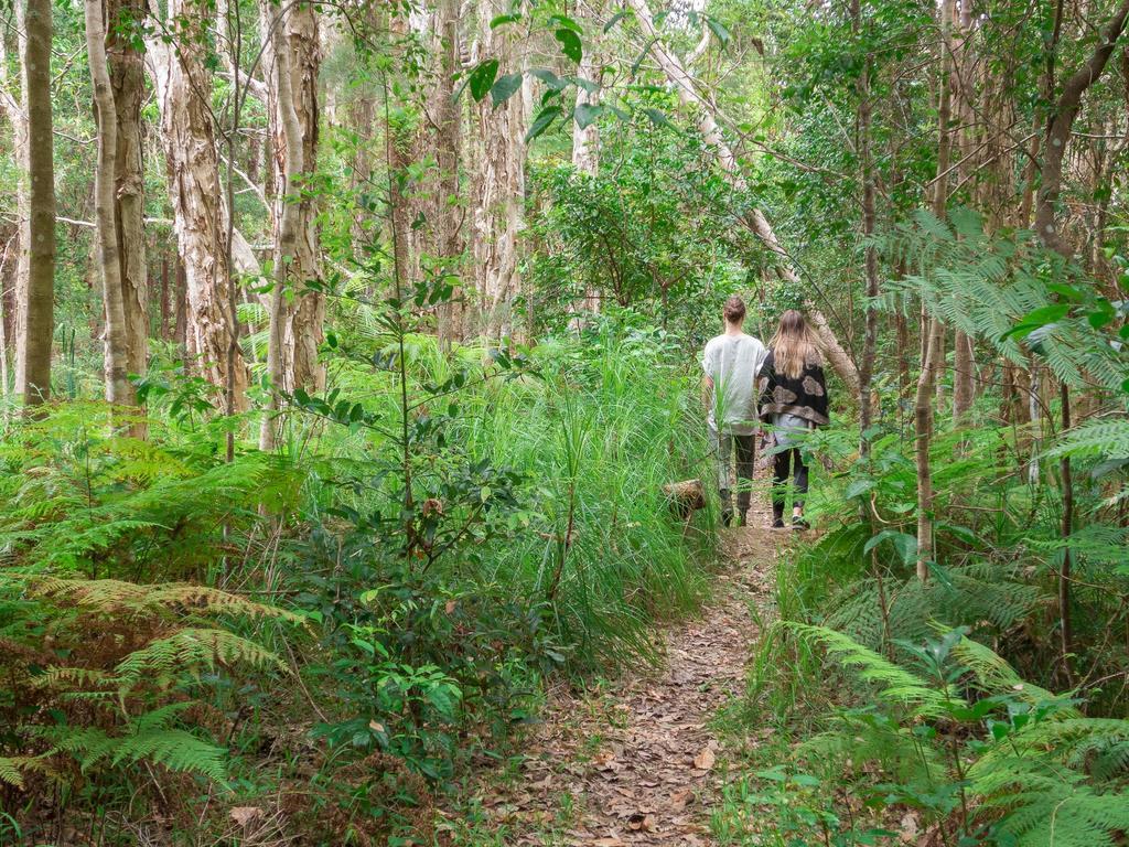 Bed and Breakfast Abelia House Byron Bay Zewnętrze zdjęcie
