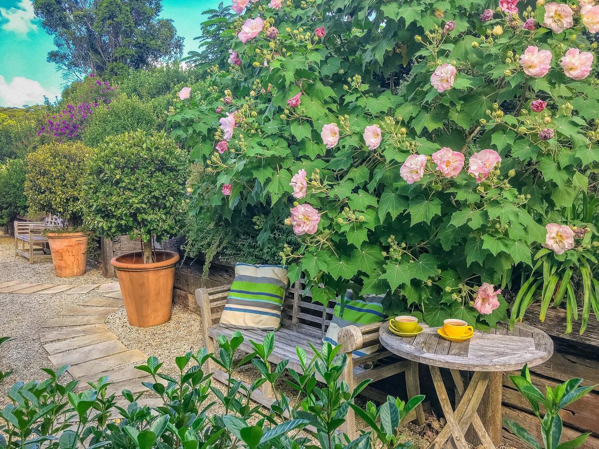 Bed and Breakfast Abelia House Byron Bay Zewnętrze zdjęcie
