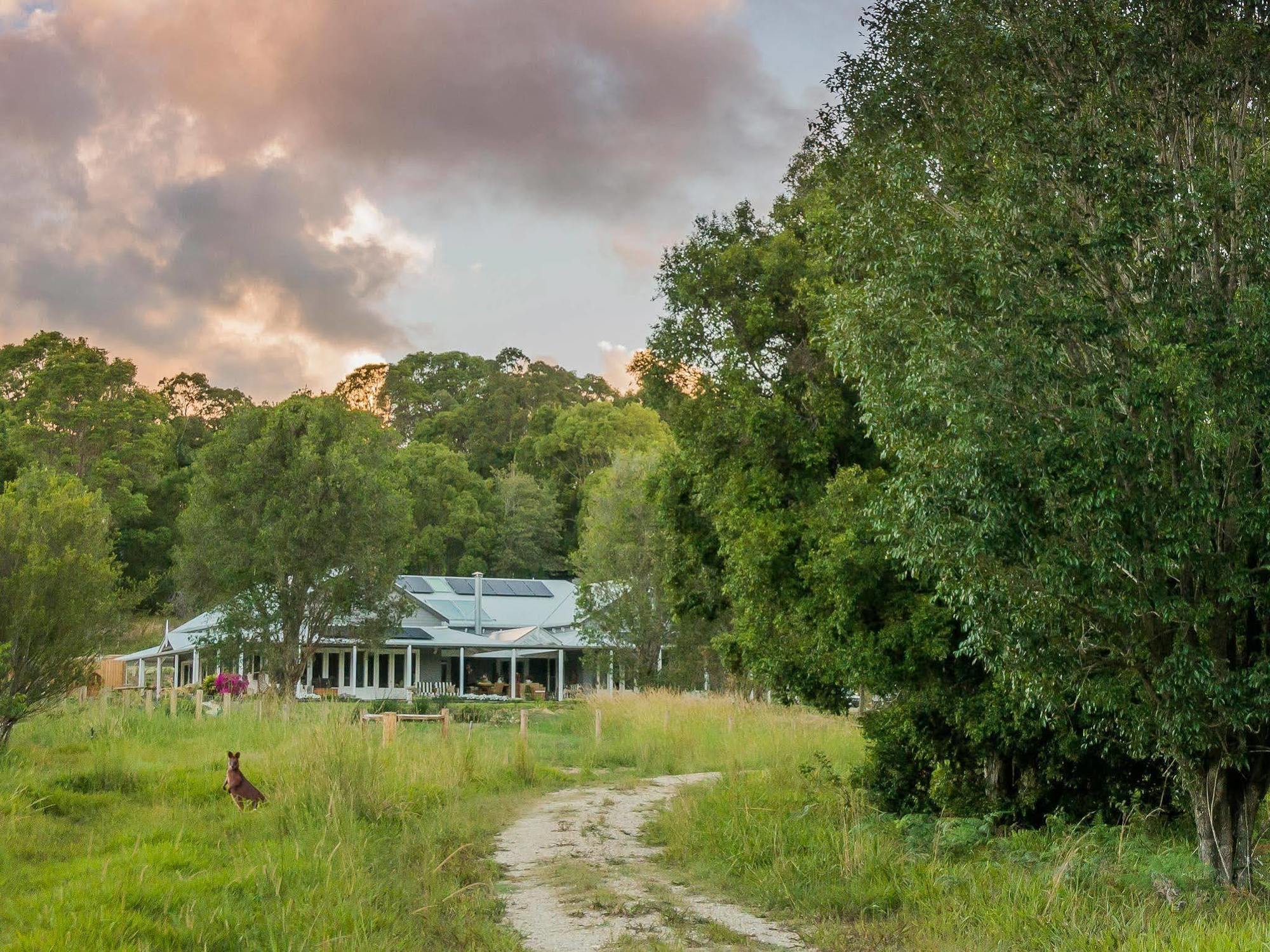 Bed and Breakfast Abelia House Byron Bay Zewnętrze zdjęcie